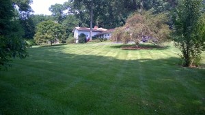 WP_20150726_15_28_16_Pro[1]